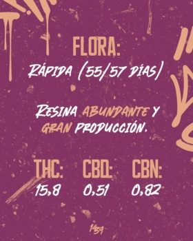 1439 – Choco Og