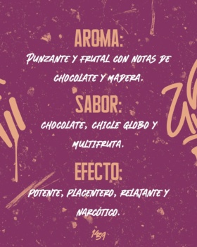 1439 – Choco Og