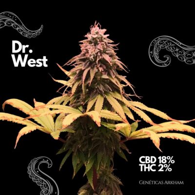 Dr. West