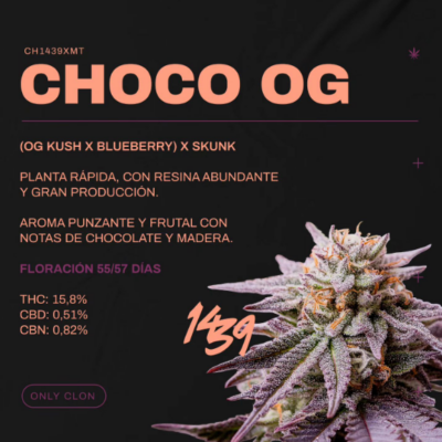 1439 – Choco Og