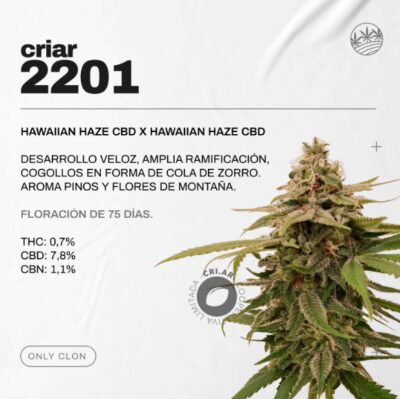 imagen de criar 2201