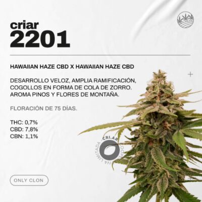 Criar 2201