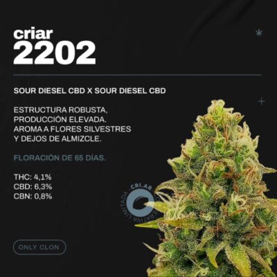 Criar 2202