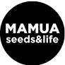 Mamua
