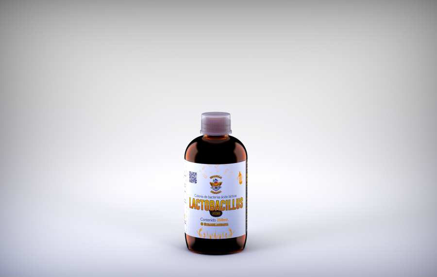 imagen de lactobasillus