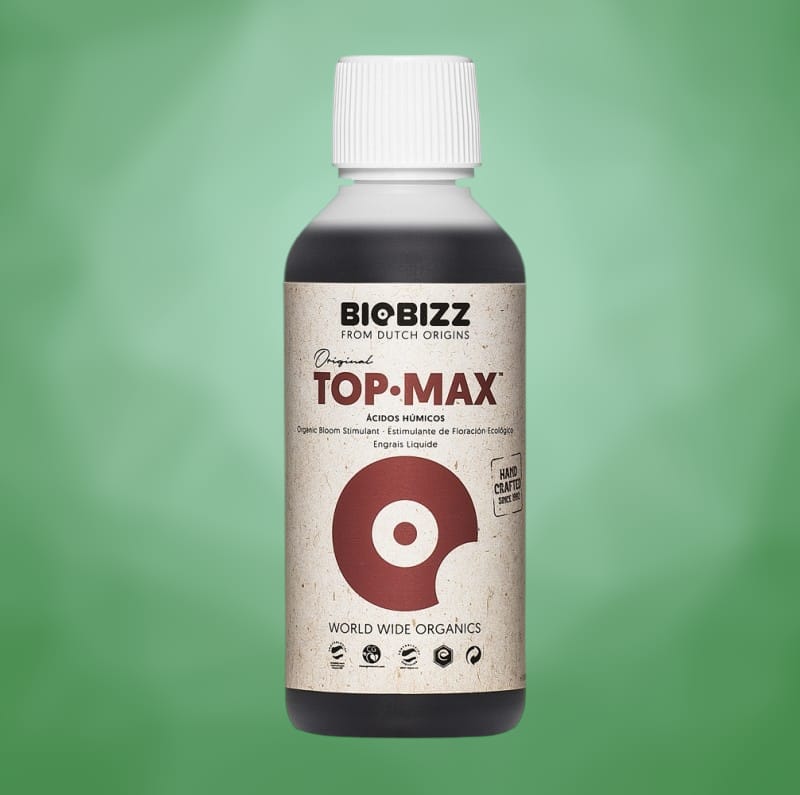 imagen de top max