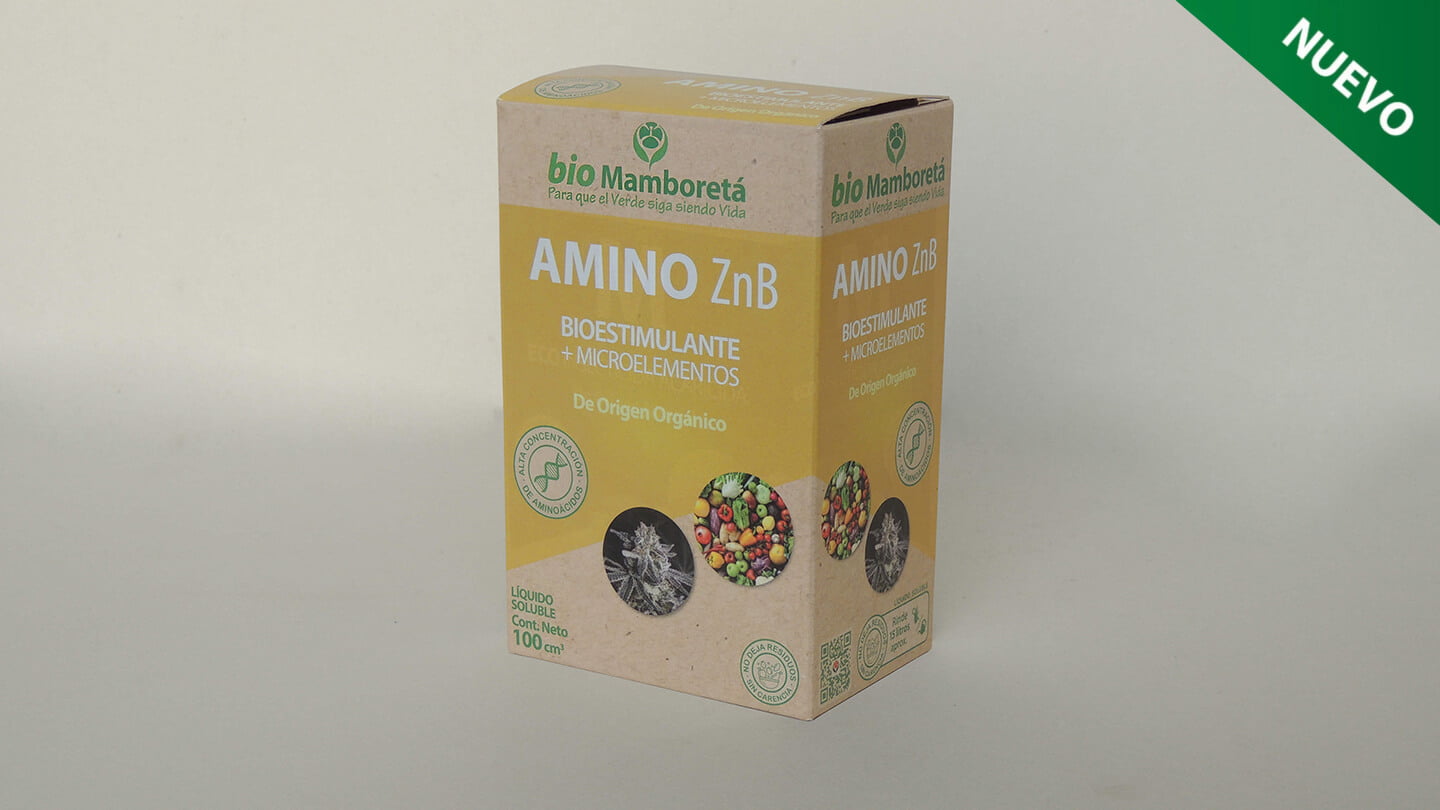 imagen de Bio Mamboretá AMINO ZnB