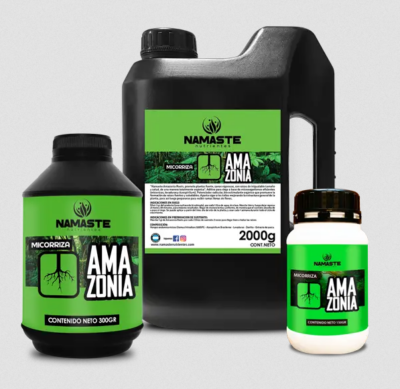 imagen de amazonia
