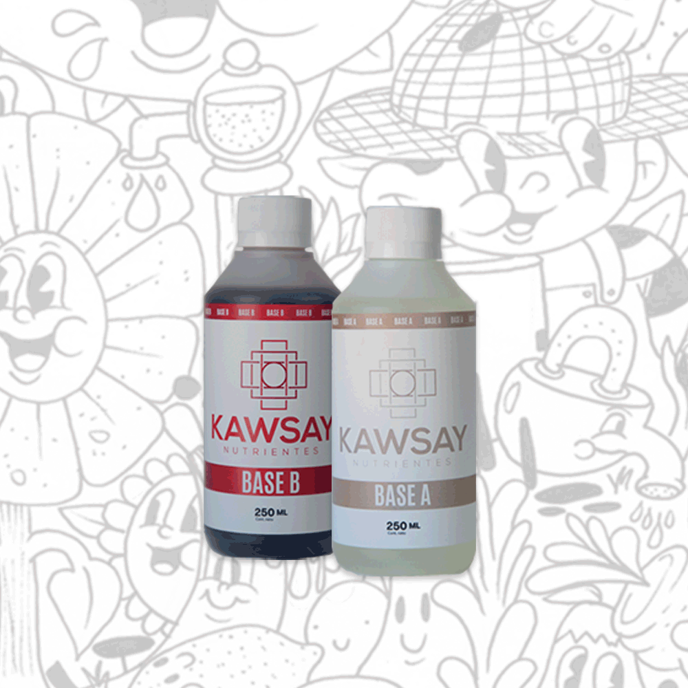imagen de las bases A y B de Kawsay