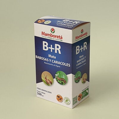 Mamboretá – B+R