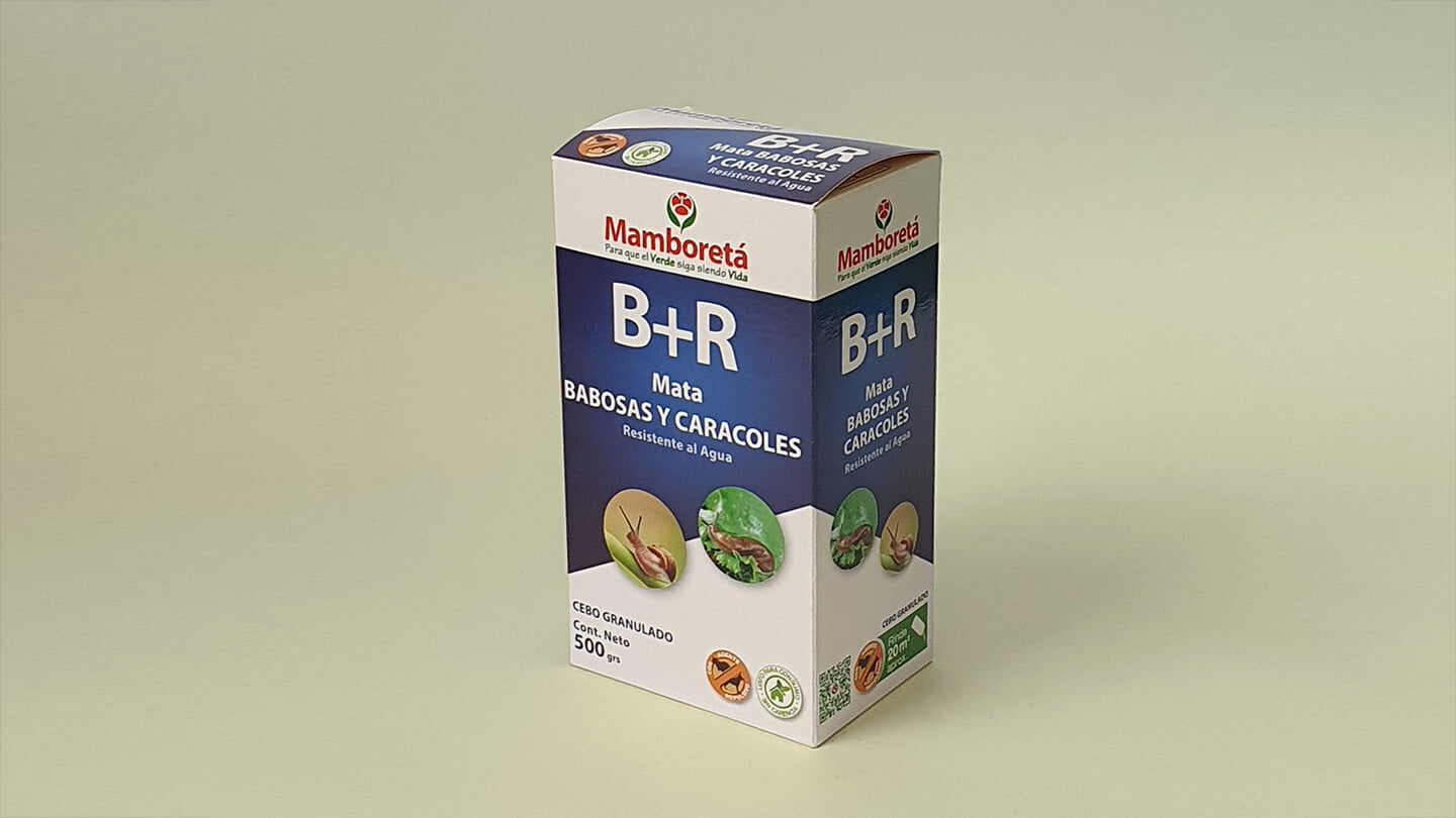 imagen de mamboreta B+R