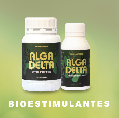 Skog – Alga delta