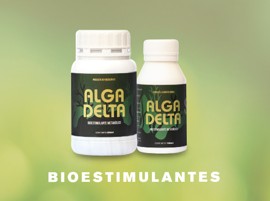 imagen de Skog - Alga delta
