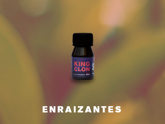 imagen de skog king clone