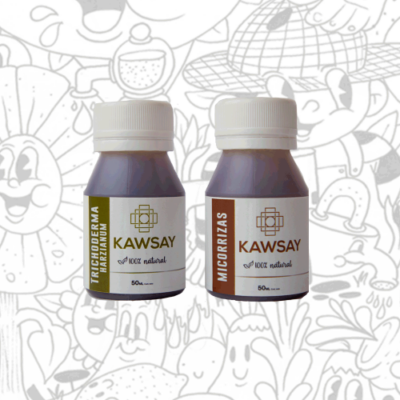 Kawsay – Micorrizas