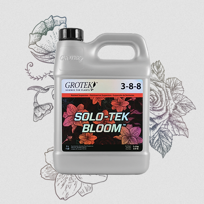 imagen de solotek bloom